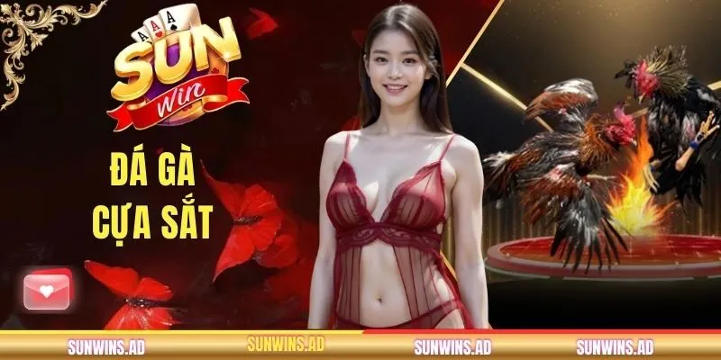Đá Gà Cựa Sắt - Cách Chọn Chiến Kê Tại Cổng Game SUNWIN